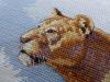 52.thumb.JPG.b24c5e8543ec650a675ff4d5c1e