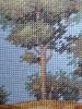 54.thumb.JPG.0fed4eb947f75a1824d5d50a30d