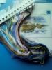 56519c4541e95_image(25).thumb.jpg.d01cce