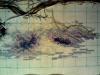5655ca865eedc_image(31).thumb.jpg.8946c2