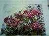 5655dd7840c19_image(24).thumb.jpg.f0def2