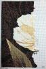 5658a4ec76f57__17_2711.thumb.JPG.77fe15c