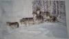 Копия 8 DSC00387.JPG