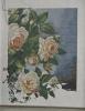 565a80b7456d6_078copy-1.thumb.jpg.7ac98a