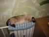 565af6bd78131_004.thumb.jpg.9ebd9e2d29f7