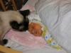 565b1525cdfb3_040.thumb.jpg.98ec74cd804a