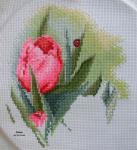 6809.thumb.jpg.b84832251bfe6ca0c1226185d