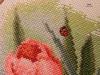 7.thumb.jpg.4961f0d5cbf6a3eb4210e067cbdd