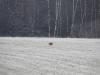 DSC00114.thumb.JPG.1fcc0c6a504a9e0e7d50b