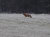 DSC00122.thumb.JPG.343ae979198913d9753de