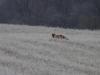 DSC00125.thumb.JPG.d89e3f33dfac517dba414