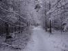 DSC00140.thumb.JPG.67a159ea6908452b11741