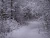 DSC00141.thumb.JPG.1ad159482199cb2a8dd56