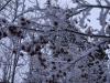 DSC00142.thumb.JPG.69bdf23151417472b4135