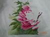 DSC02063.thumb.JPG.128100ef79742c720a401