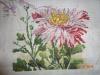 DSC02115.thumb.JPG.09181545ad6d730e8c643