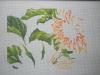 DSCN3515.thumb.JPG.e715f697f54d2554a4d8b