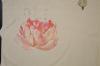 DSC_0877.thumb.JPG.1b5c4822db59157b6793d