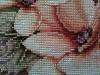 IMG_0745.thumb.JPG.727a556ae4a08021ac42c