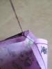 IMG_1957.thumb.JPG.fed03687930f5ccce93a4