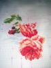 IMG_20150426_235811.thumb.jpg.2c1981c0ed