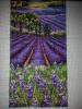 IMG_20151031_214551.thumb.jpg.1da939cddd