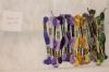 image.thumb.jpeg.88bd15fcbbb64dae86de626