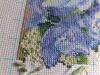 021220152927.thumb.jpg.ff77e4b7bd833a2ee