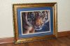 0_e652a_7072c260_orig.thumb.jpg.955c668b
