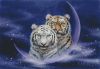 10281.thumb.jpg.a3a3680e303a53575529f50a
