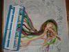 111.thumb.JPG.806014969882aef4ff901b16fb