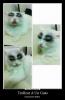 1235217_542265262488462_770806358_n.thum