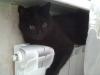 14112012290.thumb.jpg.eefe515c88bf62afdd