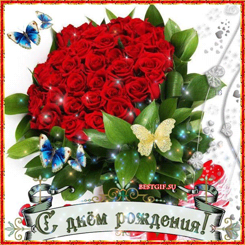 1844554.thumb.gif.28548f188e7c1f32105be2