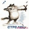 19515.thumb.jpg.5b4f460c68afa8cd492a6eb2