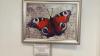 20150322_122711.thumb.jpg.f48164b7dd982d