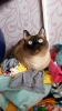 20150616_123506.jpg