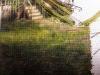 20151117_171557.thumb.jpg.12df1f27223c8c