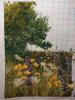 20151128_003537.thumb.jpg.d0d50030e35183