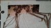 20151128_130945.thumb.jpg.b7d3d6078ca582