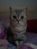 20151129_111423.thumb.jpg.198b9d81832dcb