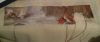 20151207_200622-1.thumb.jpg.9be1092c7058