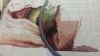 20151210_223052.thumb.jpg.d5f5d1aab93593
