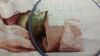 20151216_214144.thumb.jpg.6b07cd304d36cc