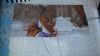 20151218_214311.thumb.jpg.0ddeedcad6aa35