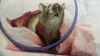 20151220_113420.thumb.jpg.94388ddc12ce2a