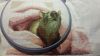 20151220_193149.thumb.jpg.d0fd62d7bfed64