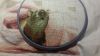 20151220_211358.thumb.jpg.fc0b0fba873676