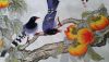 20151223_115710-1.thumb.jpg.2b773211e6ae