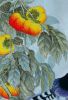 20151223_120330-1.thumb.jpg.571a175749d9